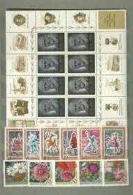 1970 ���� 13